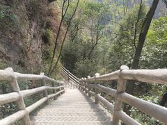 -九皇山景区