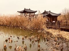 -下渚湖国家湿地公园科普馆