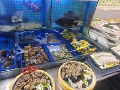 -老家黄墩小错鸡·活海鲜