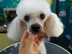 -美联众合动物医院(唯恩分院)