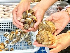 -碧海银沙海鲜餐厅(恒大海上威尼斯店)