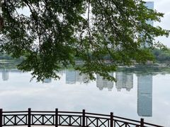 -南宁南湖公园
