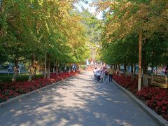 -长白岛森林公园