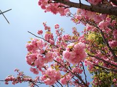 -幕燕滨江·长江观音景区