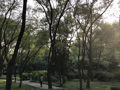 -玲珑塔公园