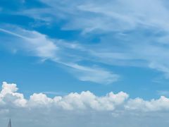 -日照海滨国家森林公园