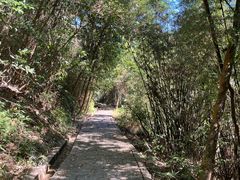 -广州白江湖森林公园