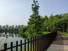 -王借岗森林公园