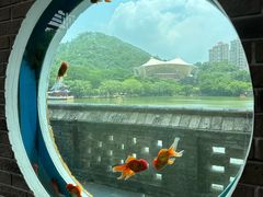 -珠海圆明新园