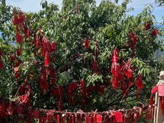 -天津盘山风景名胜区