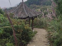 -五凤溪古镇