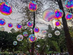 -人民公园(罗湖区)