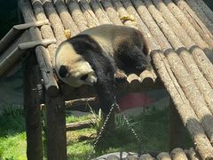 -大连森林动物园