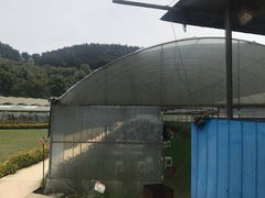 -普迪生态园