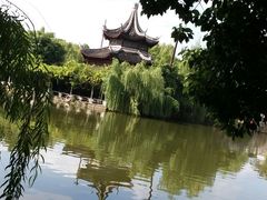 -溱湖国家湿地公园