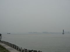 -海鸥岛