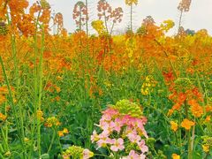 -中国天府农业博览园