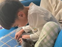 -猫大福·Fortune Cat猫舍(百子湾店)