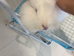 -怪兽屋·羊驼·猫咖·狗咖(俊华广场店)