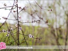 -哈尔滨师范大学(江南校区)