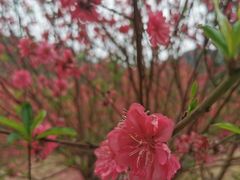 -水濂山森林公园