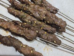 -鸽子窝专业烧烤店(长白店)