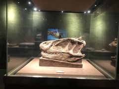 -自贡恐龙博物馆