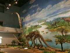 -自贡恐龙博物馆