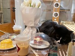 -有猫主题·治愈系猫咖(曾厝垵店)
