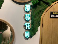 -藦茜花园宠物主题亲子互动体验馆(国顺东路店)