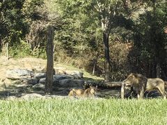 -北京野生动物园