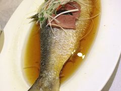-红城阁·上海味道(四平路店)