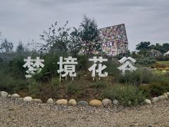 -紫颐香薰山谷景区