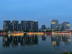 -金沙湖公园