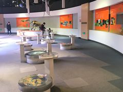 -陕西自然博物馆