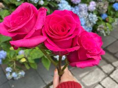 -花二家·生活馆(六运小区店)