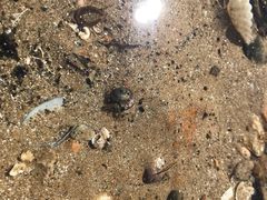 -东戴河风景区-止锚湾