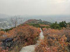 -北京西山国家森林公园