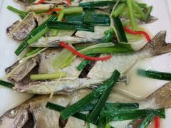-金成潮菜博物馆(海珠湿地店)