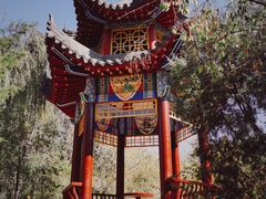 -青城公园