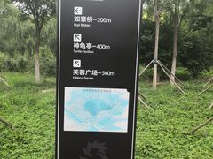 -天津东丽湖风景区