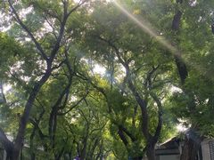 -北京国子监胡同