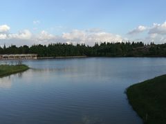 -上海海湾国家森林公园