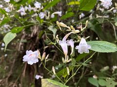 -赤水丹霞旅游区·佛光岩