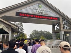 -中国大熊猫保护研究中心雅安碧峰峡基地