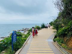 -广东惠东海龟国家级自然保护区