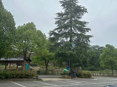 -龙井峡漂流