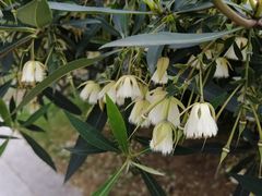 -潮喜竹溪荔湖酒家(荔枝湾店)