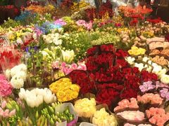 -双季花艺园艺市场(浦东店)