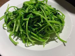 -金枝玉叶上海人家食府(三里河店)